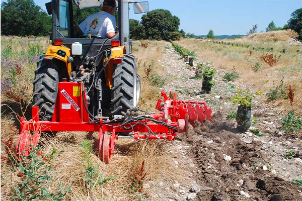 Interceppi ECOL LAT Tecnoagri Foto sul campo 3